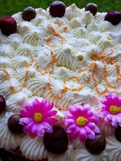 O poză a rețetei Tort semifreddo exotic cu cremă de lămâie și cocos.