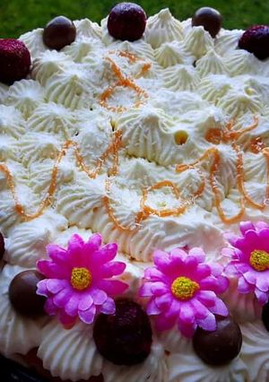 O poză a rețetei Tort semifreddo exotic cu cremă de lămâie și cocos.