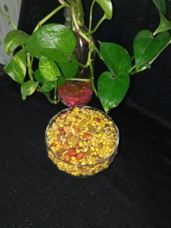 عکسی از دستور گندم برشته (گندم شاهدانه)♥️