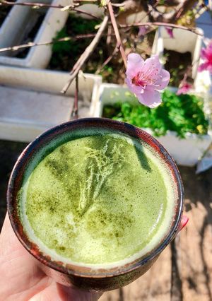 Hình của món Matcha Latte 🍵🍵.