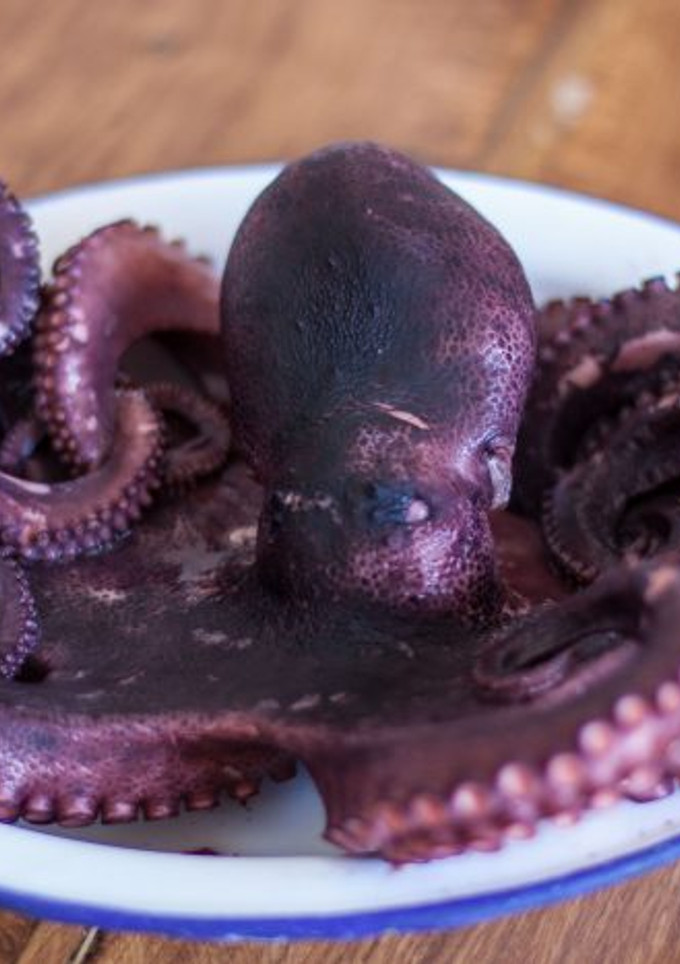 Una foto de Cómo cocer el pulpo