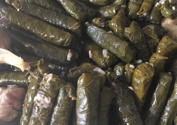 اليبرق الحامض (محشي ورق العنب)