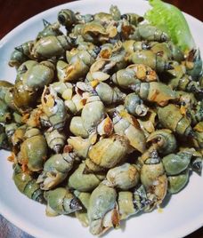 ốc cà na muối tôm