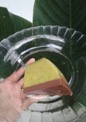 Foto resep 12. Puding Alpukat (Avocado Pudding)