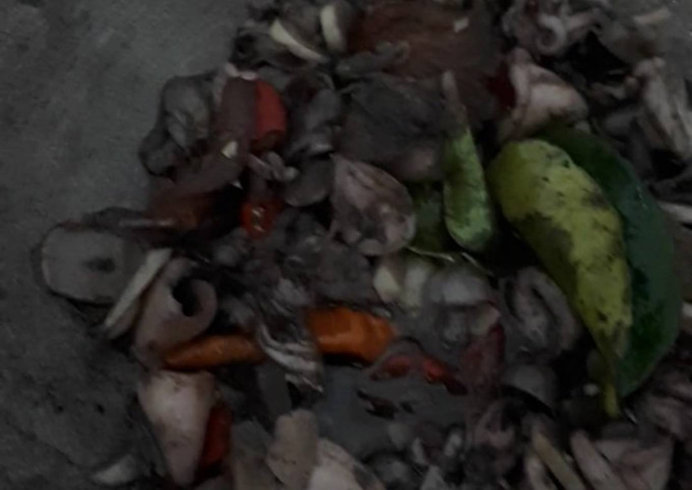 Thumy's Kumi Cinta Heath Simple