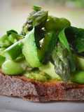 Tartine verdurette du printemps