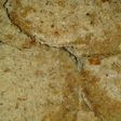 Zapallitos en milanesa