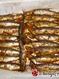 Sardines marinated in mustard and ouzo