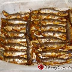 A picture of Sardines marinated in mustard and ouzo.