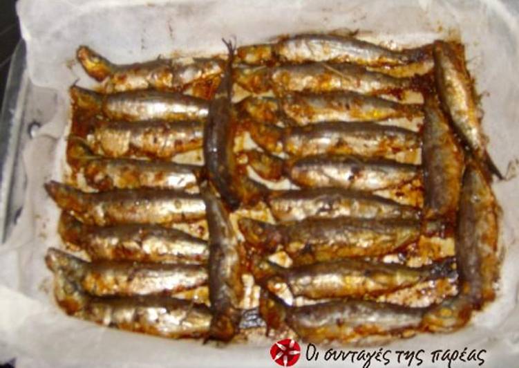 Sardines marinated in mustard and ouzo