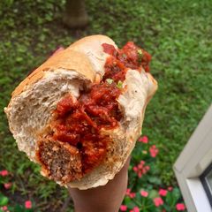 A picture of Meatball sub.