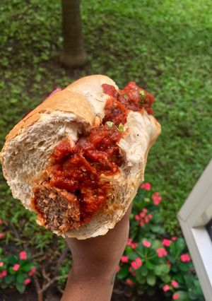 A picture of Meatball sub.