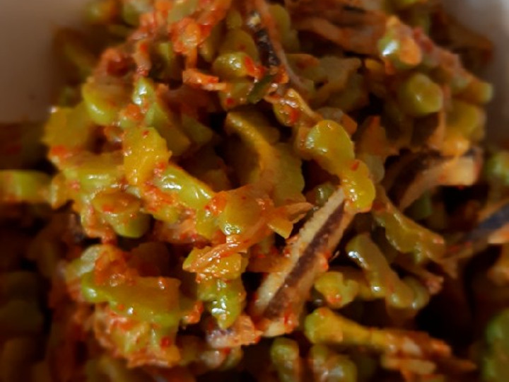 Resep Tumis Pare Teri Pedas yang Enak