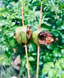 Ăn dặm: lươn ngũ vị hương xiên que