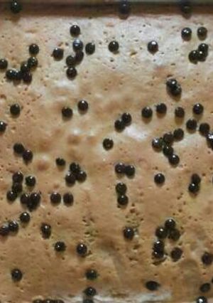 Foto resep Bolu lembut cappucino chocochips