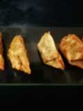 Gyoza caseira