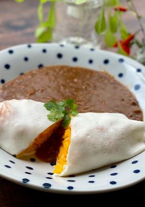 A picture of Japanese White Omurice.