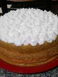 Postre de vainillas con bizcochuelo y flan