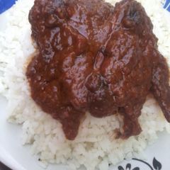 A picture of White Rice and Chicken Stew.