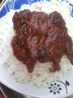 A picture of White Rice and Chicken Stew.