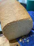 Pan lactal