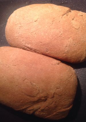 A picture of Whole wheat bread.