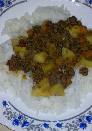 A picture of Rice with mince meat stew.