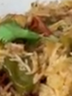 காளான் பிரியாணி செய்முறை முக்கிய புகைப்படம்