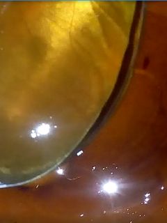 صورة لوصفة عسل منزلي