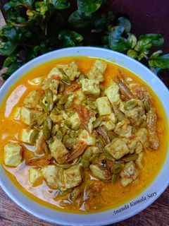 Foto resep Sayur Santan Tahu Tempe