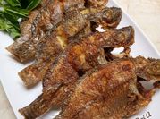 Gambar ikan mujair goreng