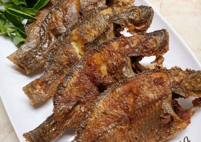 Resep Ikan Mujair Goreng oleh Riska Dwi A - Cookpad