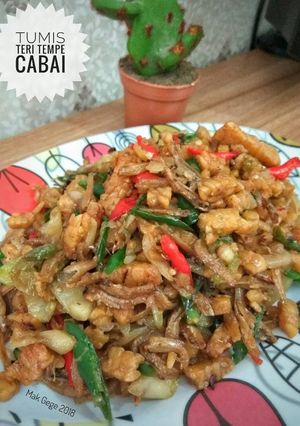 Foto resep Tumis Teri Tempe Cabai resep Mama👍