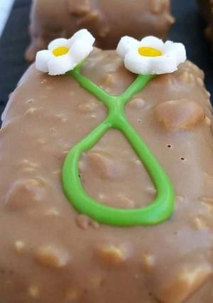 صورة لوصفة غربية الروشيات