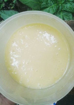 Foto resep Simple Homemade Mayonnaise