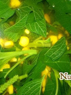 Foto resep Sayur bening jagung + bayam