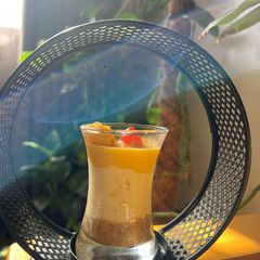 A picture of Alphonso Mango Mousse.