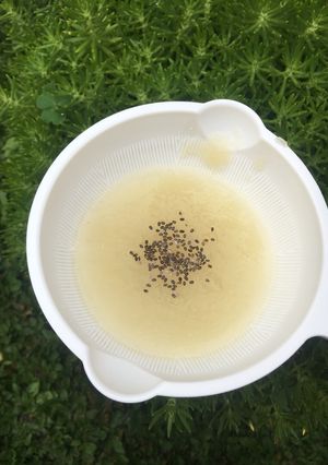 Foto resep Mpasi Menu Tunggal (Pure pear)