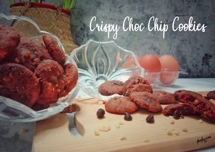 Langkah Mudah untuk Menyiapkan Chrispy Choc Chip Cookies Anti Gagal