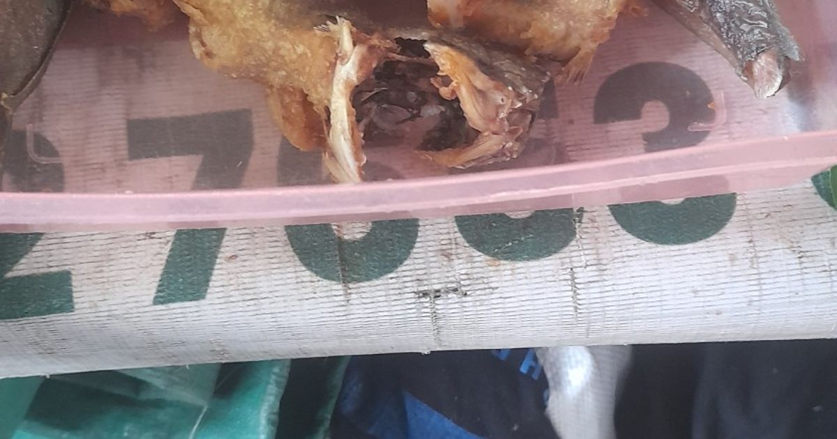 Lele goreng