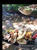 Asado de campo