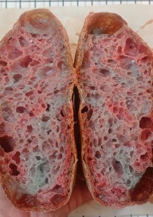 Foto resep Blue Spirulina Angkak Sourdough Bread