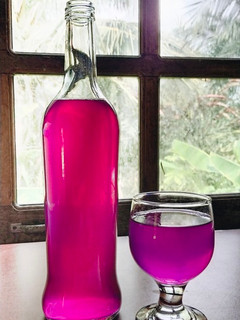 Foto resep Syrup bunga telang
