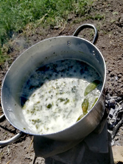 عکسی از دستور آش دوغ