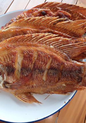 Foto resep Ikan Nila Goreng Marinasi Ala Chef Rudy Choirudin