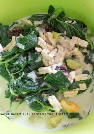 Foto resep Sayur Bayam Kuah Santan