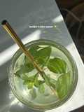 عصير ليمون بالنعناع 🍸🍋