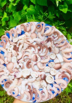 Hình của món Bạch tuột hấp gừng🐙🐙.