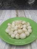 650. Cimol anti meledak