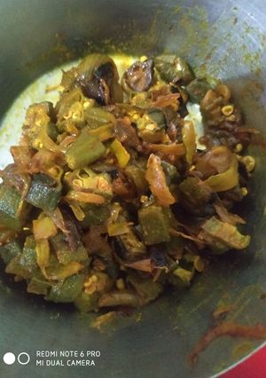 A picture of Punjabi Bhindi.